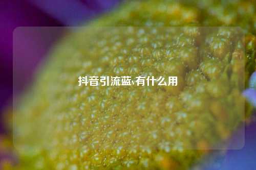 抖音引流蓝v有什么用