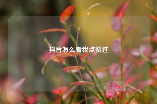 抖音怎么看我点赞过
