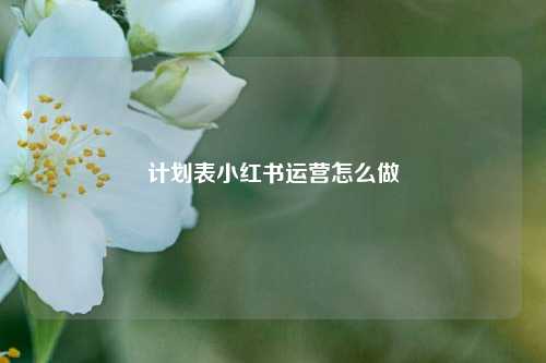 计划表小红书运营怎么做