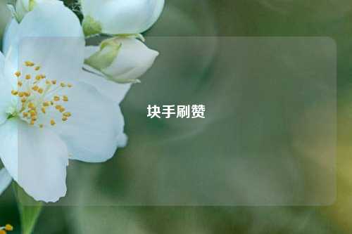 块手刷赞