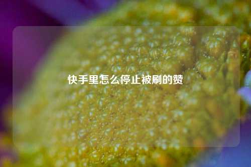 快手里怎么停止被刷的赞