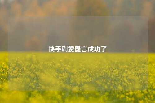 快手刷赞墨言成功了
