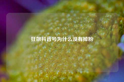 狂飙抖音号为什么没有掉粉