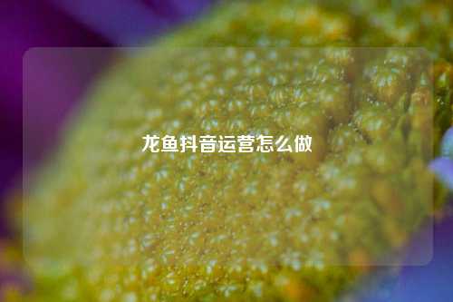龙鱼抖音运营怎么做