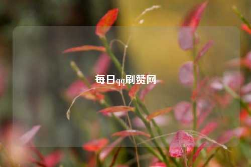 每日qq刷赞网