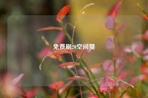 免费刷20空间赞