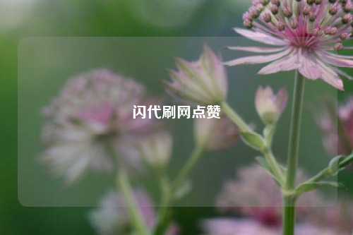 闪代刷网点赞