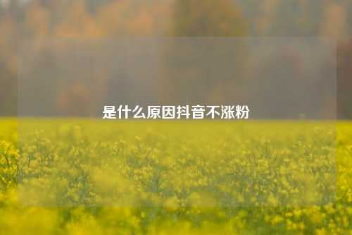 是什么原因抖音不涨粉