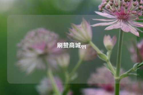 刷赞商城qq