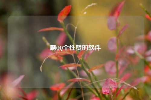刷QQ个性赞的软件