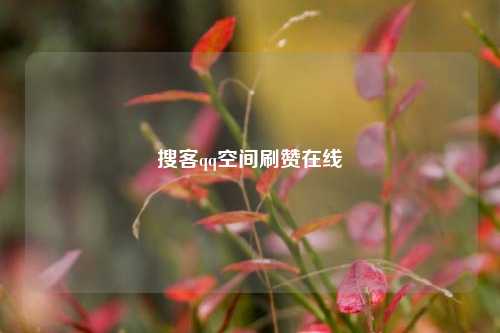 搜客qq空间刷赞在线