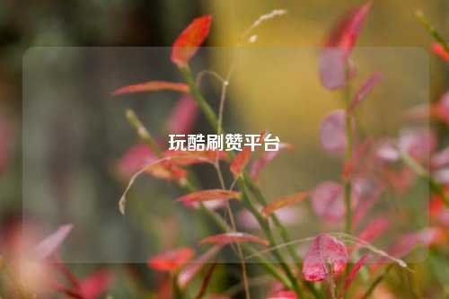 玩酷刷赞平台