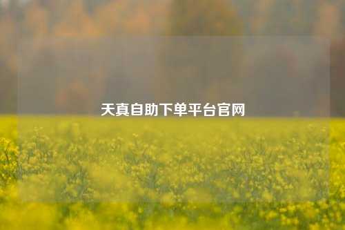 天真自助下单平台官网