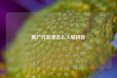 推广代运营怎么入驻抖音