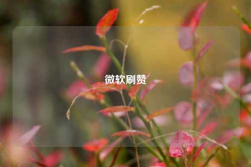 微软刷赞