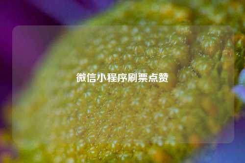 微信小程序刷票点赞